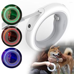 Dog Collars Fashion Luxury Hands Free Retractable Pet Leash Lead Walking Traction Rope Rechargeable Night Luminous LED Breathing Light