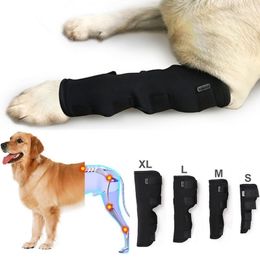 Dog Apparel 2Pcs lot Pet Knee Pads Support Brace for Leg Hock Joint Wrap Breathable Injury Recover Legs Protector 221103