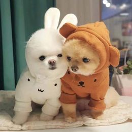 Dog Apparel Winter Product INS Wind Cute Bunny Bear Ears Wear Hoodie Plus Velvet Thick Soft Waxy Warm Cotton Sweater 221103