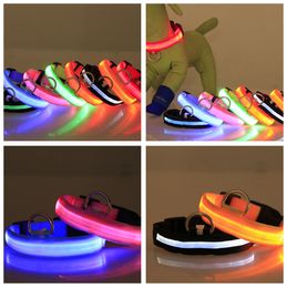 Dog Collars USB chargeable Leashes Pet Supplies LED Collars Nylon Safety Light Flashing Glow Collar DH304