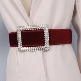 Ремни винтажные замшевые плюшевые сплошные пояса с пряжкой для пряжки с пряжкой для пояса элегантные дамы с регулируемым платьем Cinturones ремень Cinturones