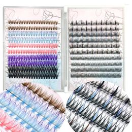 False Eyelashes Big Capacity Mix Colored Individual Lashes Mixed Pack Cluster Fishtail Fairy Type A Design Size