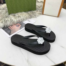Designer Women Slippers Beach Hotel Indoor Shower Room summer flats Slipper Luxury chevron thong sandal Size 35-43 model LX06