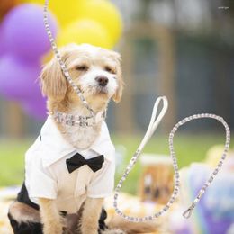 Dog Collars 1.25m Pet Leash Rope Coloured Beads Adjustable Fashion Necklace Small Medium Dogs Collar Supplies
