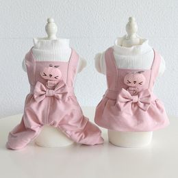 Dog Apparel 2022 Autumn Winter Pet Clothes Warm Wool Small Princess Dress Sweet Jumpsuit Thicken Sweater Kitten Puppy Coat Yorkshire Pug