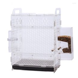 Bird Cages Small Transparent Cage Rectangle Parrot Acrylic Accessoires Gabbia Per Uccelli Pet Supplies BS50BC