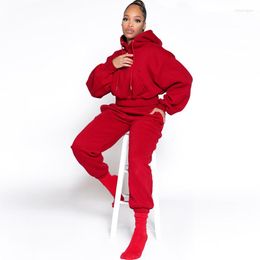Women's Two Piece Pants Elegant Solid Hooded Loose Tracksuits 2 Set Womens Winter Long Sleeve Top And Baggy Outdoor Sweatsuits Wholesale