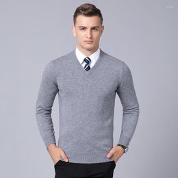 Men's Sweaters High Quality Mens Pure Wool Sweater Long Sleeve Autumn & Winter Male Solid V-neck Cashmere Pullovers