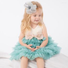Girl Dresses Baby Girls Tutu Floral Infant Kids Tiered A-lined Princess Pageant Sleeveless Flower Dress Halloween Christmas