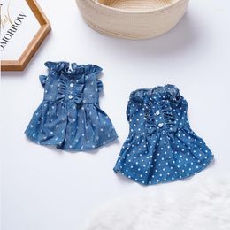 Dog Apparel Clothes Summer Denim Skirt Ruffled High Waist Dress Polka Dot Print Fashion Jacket For Pomeranian Bichon Teddy