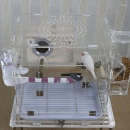 Bird Cages Transparent Rectangle Cage Large Luxury Acrylic Accessories Breeding Gabbia Per Uccelli Supplies BS50BC
