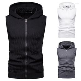 Men's Sweaters 2022 Spring And Autumn Men Casual Pullovers Solid Color Sleeveless Zipper Cotton Outdoor Trip Daily Coat