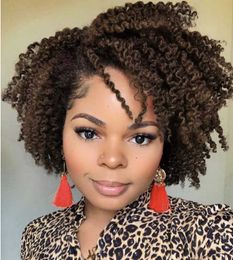 New African small curly wig European and American wig female short curly hair partial whole chemical Fibre head cover S0826