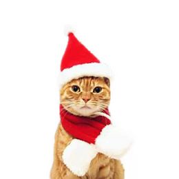 Merry Christmas Cute Dog Apparel Small Plush Santa Hat Scarf Clothes Xmas Decoration Puppy Kitten Cat Cap Happy New Year Gift Pet Supplies Accessories P1118