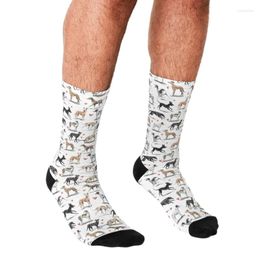 Men's Socks Men's Funny Cartoon Greyhounds Harajuku Men Happy Hip Hop Novelty Cute Boys Crew Casual Crazy For