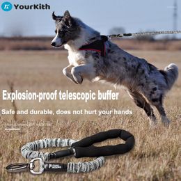Dog Collars YourKith Leash Strong Pet With Comfortable Padded Handle Heavy Duty Training Durable Nylon Rope Leashes