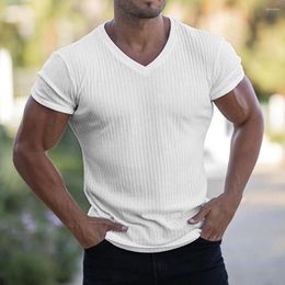 Men's Casual Shirts T-shirt Fashionable Lightweight Anti-pilling All Match Men Top Clothing Summer