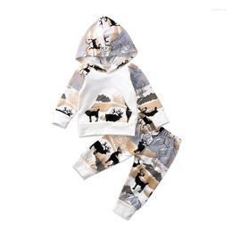 Clothing Sets 2022 Autumn Infant Toddler Kids Baby Boy Girl Clothes Cartoon Print Hooded Top Long Pants Cotton Outfits 2pcs