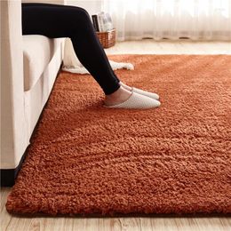 Carpets Lambskin Rug Bedroom Rectangle Carpet Living Room Bathroom Mat Kitchen Mattress Pad Cushion Blanket