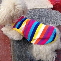 Dog Apparel Colourful Spring Shirts Pet Clothing For Small Cute Summer Clothes Puppy Outfit 38