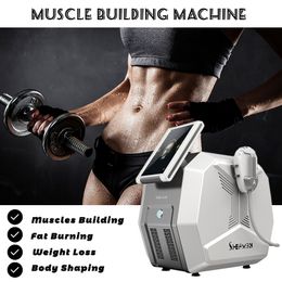 Ems Body Sculpting Machine Muscles Building Slimming Abdomen Fat Burning Easy Operation