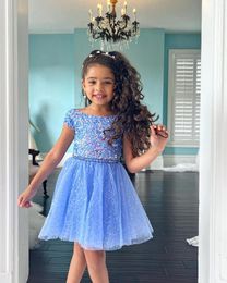 Girl Dresses Periwinkle Pageant Dress For Little Miss 2023 Short Sleeves Sequin A-Line Kids Birthday Formal Party Gown Infant Toddler