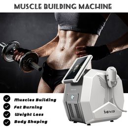 CE Approved Emslim Fat Removal Machine Muscle Building Eletromagnetic Body Shaping Instrument Dual Handles Work Independently