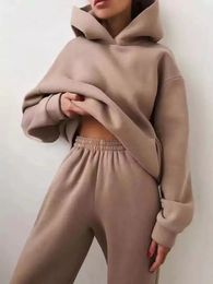 Womens Two Piece Pants Winter Women Sets Tracksuit Autumn Casual Solid Long Sleeve Hoodie Sweatshirts Female Oversized Trouser Pant Suit 221121