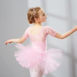 Stage Wear Kids Professional Performance Ballet Swan Lake Tutu White Pink Light Blue Elastic Waist Children Mesh Tulle Skirt Tutus