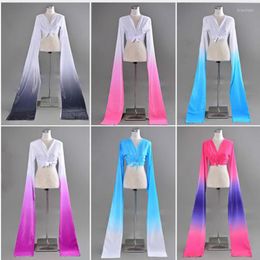 Stage Wear Long Sleeve Chinese Yangko Traditional National Dance Costume Fency Dress For Show Women Female