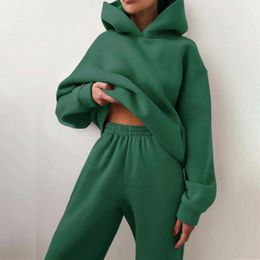 Womens Two Piece Pants Casual Tracksuit Winter Spring Solid Hoodies Suit Korea Fashion Women Fleece 2 Pieces Set Sports Sweatshirts Pullove Sweatpants 221121