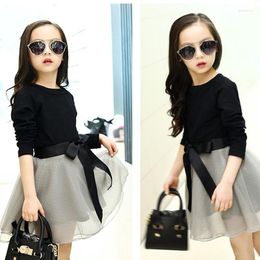 Clothing Sets Spring Set Children Two Piece Suit Girl's Veil Skirt Long-sleeve T-shirt Big Child Wholesal