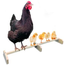 Other Pet Supplies Parrot Shelf Lightweight Balancing Standing Frame Nonslip Chicken Frame Wood for catching chewing playing 221122