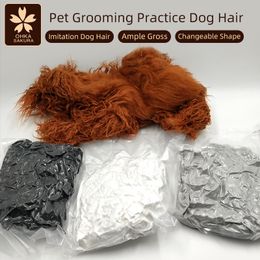 Dog Toys Chews Pet Simulation Hair Grooming Fake Model Practise Standard Skeleton Full Body 221122