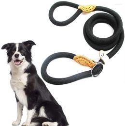 Dog Collars Pet Slip Leash Nylon Rope Dogs Choke Leads Collar For Small Medium Large Walking Training