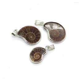 Pendant Necklaces Natural Stone Ammonite Seashell Snail Shape Pendants Ocean Conch Shell Animal Charms Trendy Jewellery Making DIY Necklace