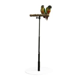 Other Pet Supplies Parrot Desktop Stand Adjustable Playstand For Bird Pet Bird Training Stand Wooden Retractable Perch Rack For Parrots Parakeets 221122
