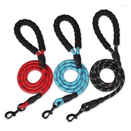 Dog Collars Comfortable Strong Leash Strap Pet Reflective Padded Handle Heavy Training Durable Nylon Rope Running Leashes