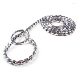 Dog Collars 5mm Strong Chrome Metal Chain Leash Adjustable Snake P Chock Training Pet Supplies Lead Belts