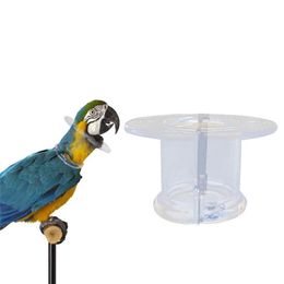 Other Pet Supplies Bird Acrylic Tube Collar For Severe Parrot Feather Plucking Neckband Restricts Neck Movement For Macaw Cockatoo African Grey 221122