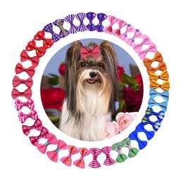 Dog Grooming Dog Grooming Bows With Rubber Bands Dogs Topknot Cute Pet Hair Clips Pets Cat Little Flower Bow Gifts Drop Delivery Hom Dhvxt