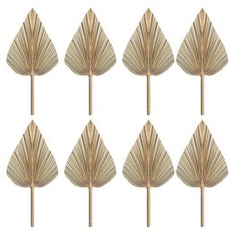 Faux Floral Greenery 8Pcs Dried Palm Leaves Fans Bohemian Spears Artificial Plants Tropical 221122