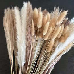 Decorative Flowers Wreaths 100Pcs/lot Pampas Set Decoration Fluffy Natural fleurs Pampa Tables Bunny Tails Dried Bouquet Boho Home Decor 221122