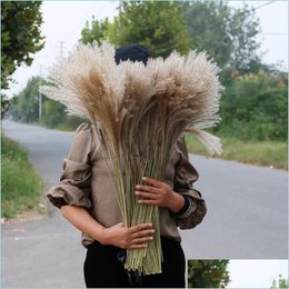 Decorative Flowers Wreaths Dried Flower 50Pcs/Lot Wholesale Phrag Mites Natural Drieds Decorative Pampas Grass For Home Wedding De Dhaz1