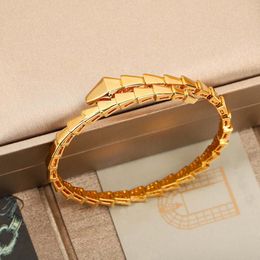 2022 Luxury quality charm punk bangle in three Colours plated snake shape have box stamp PS4421A