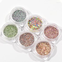 Nail Glitter 6Pot/set Art Holographic Flake Dust Multi-Colored Hexagon Ultra-thin Chunky Sparkly Spangle DIY Mylar Flakes