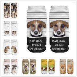 Men's Socks 3D Digital Printed Dog Women Unisex Fashion Cute Short Sock Low Anklet Print