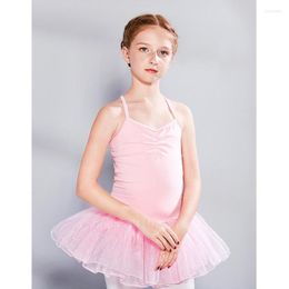 Stage Wear Ballet Dress Baby Girl Dance Costume Tutu For Girls Kids Children High Quality Sleeveless Tulle Leotard Gymnastic