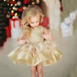 Champagne Baby Girl Tutu Dresses Long Sleeves Sequins Puffy Kids Pageant Party Gowns Sparkling Toddler Flower Girl Dress