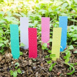 Garden Decorations Plastic Gardening Label Flower Sowing Small Signage Green Plant Succulent Potted Card Solid Colour High Durable